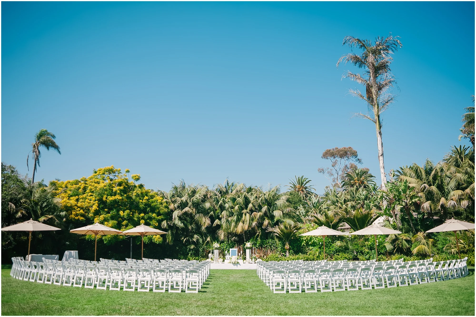 Aurelia D'Amore Photography_NM070.JPG