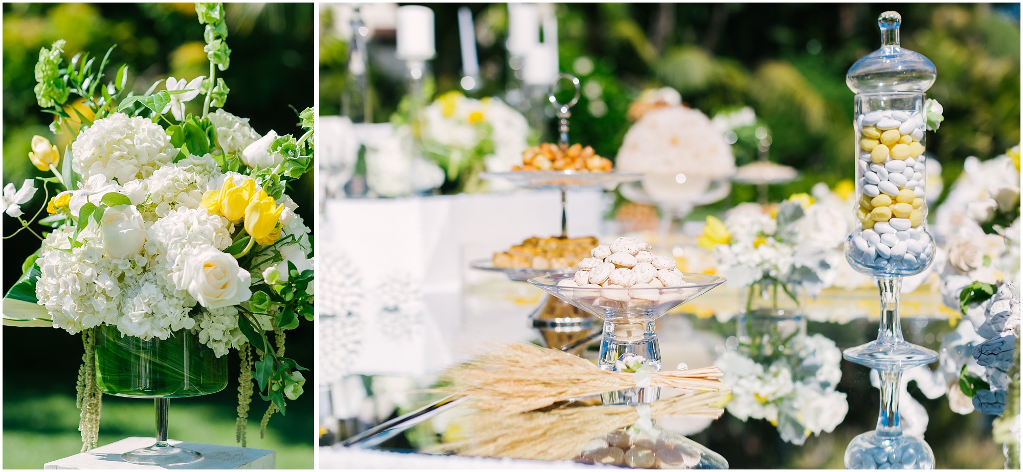 Aurelia D'Amore Photography_NM073.JPG