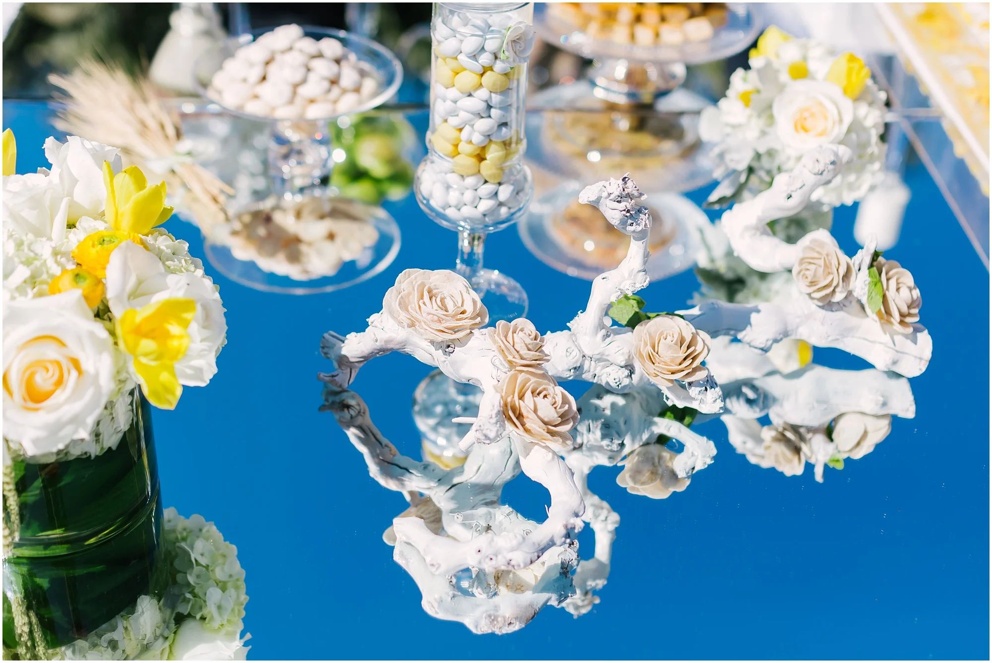 Aurelia D'Amore Photography_NM074.JPG