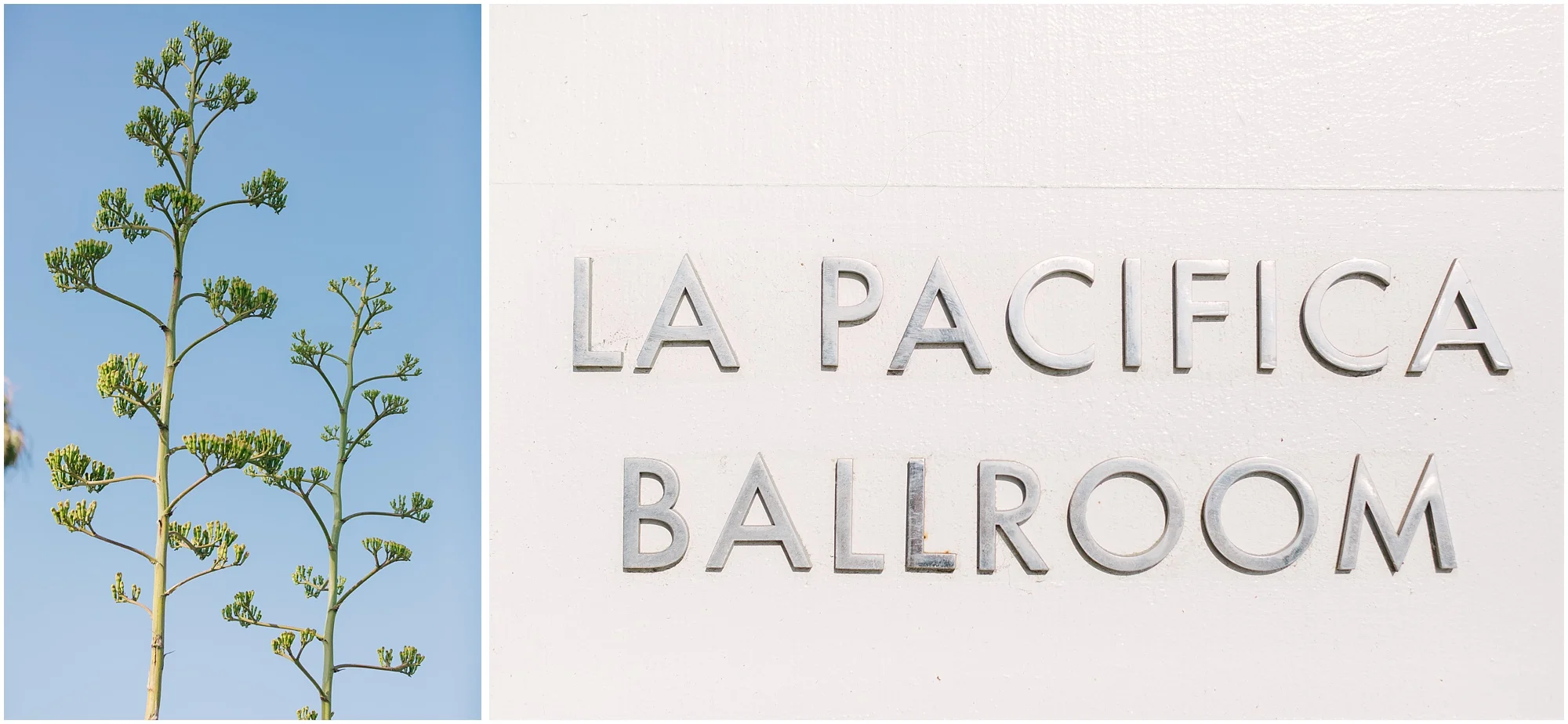 Aurelia D'Amore Photography_NM131.JPG