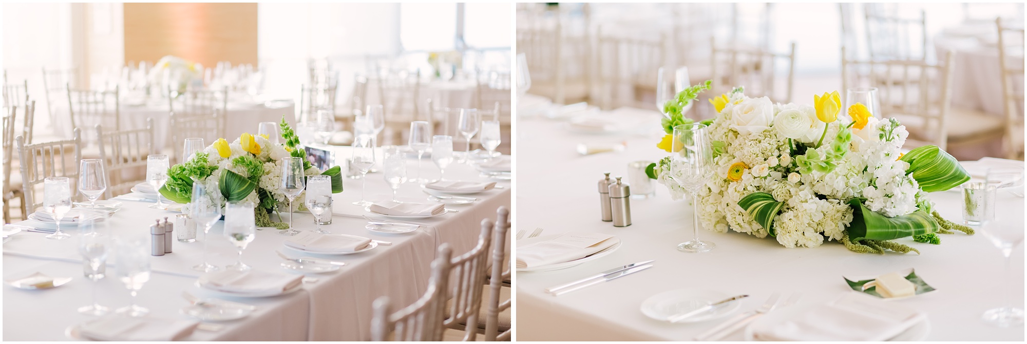 Aurelia D'Amore Photography_NM143.JPG