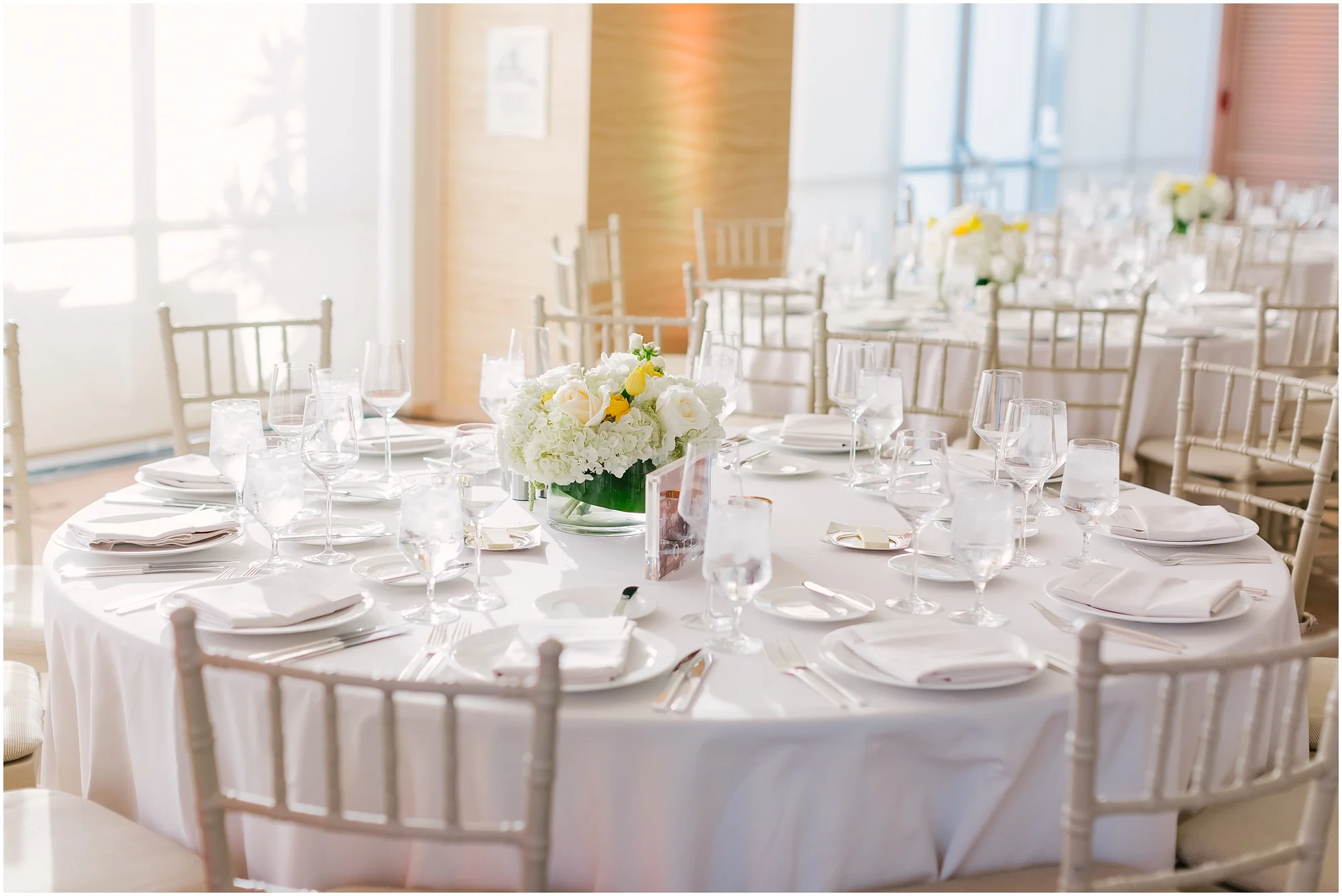 Aurelia D'Amore Photography_NM147.JPG