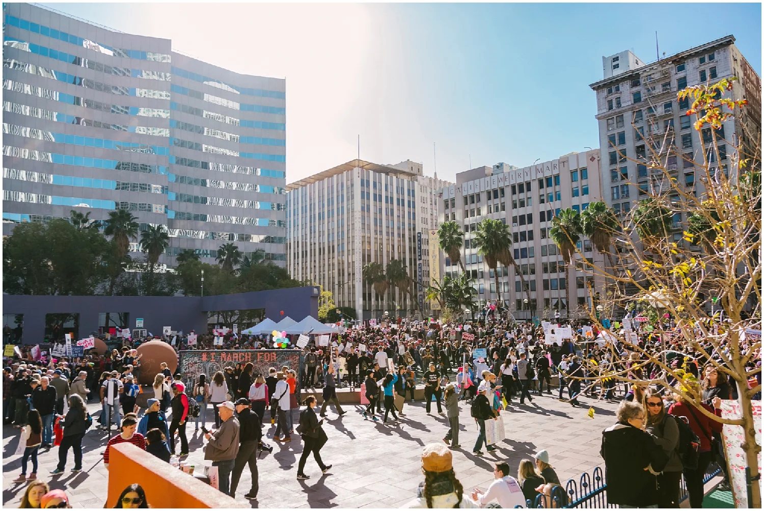 Aurelia D'Amore Photography_MWM58.JPG