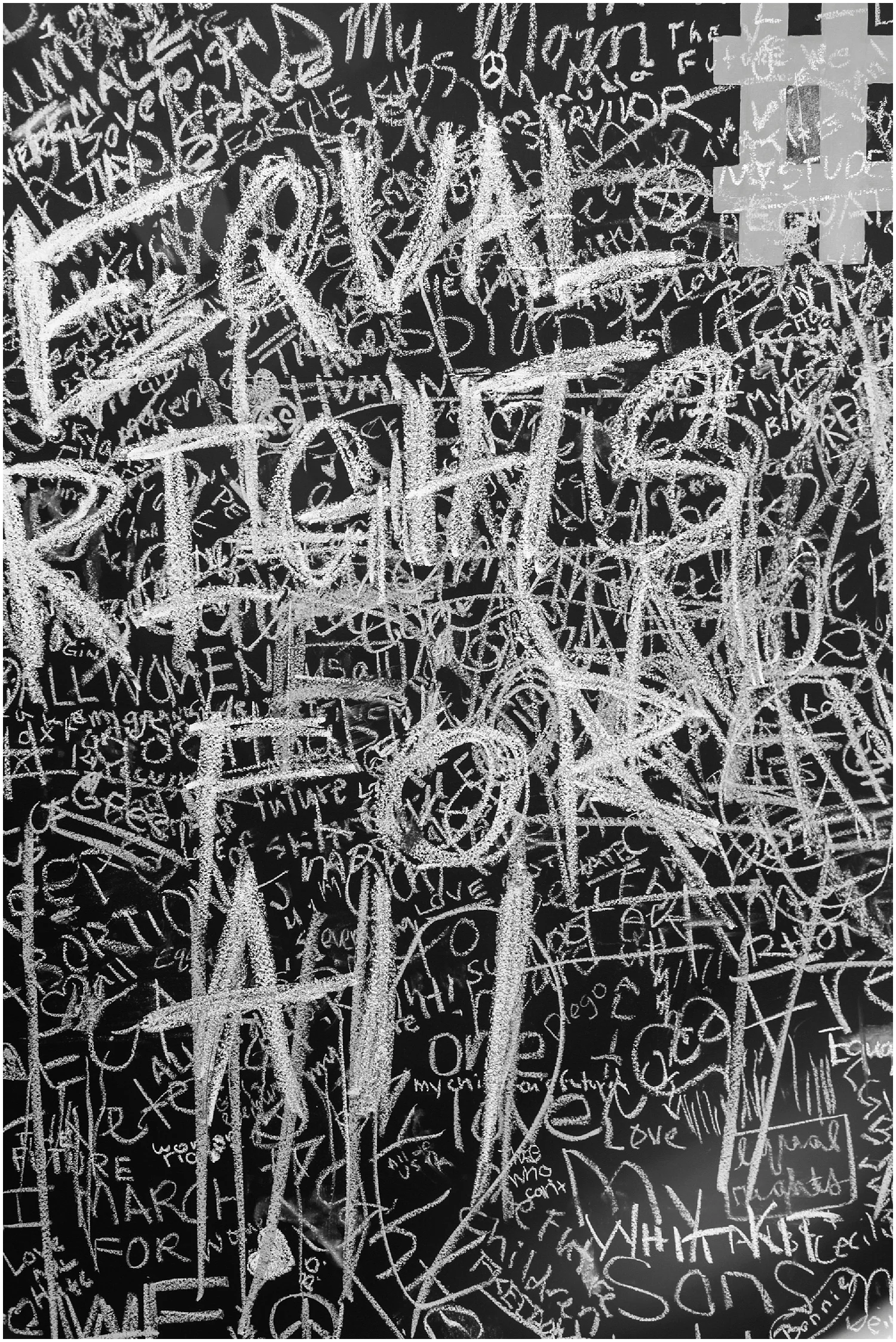 Aurelia D'Amore Photography_MWM92.JPG