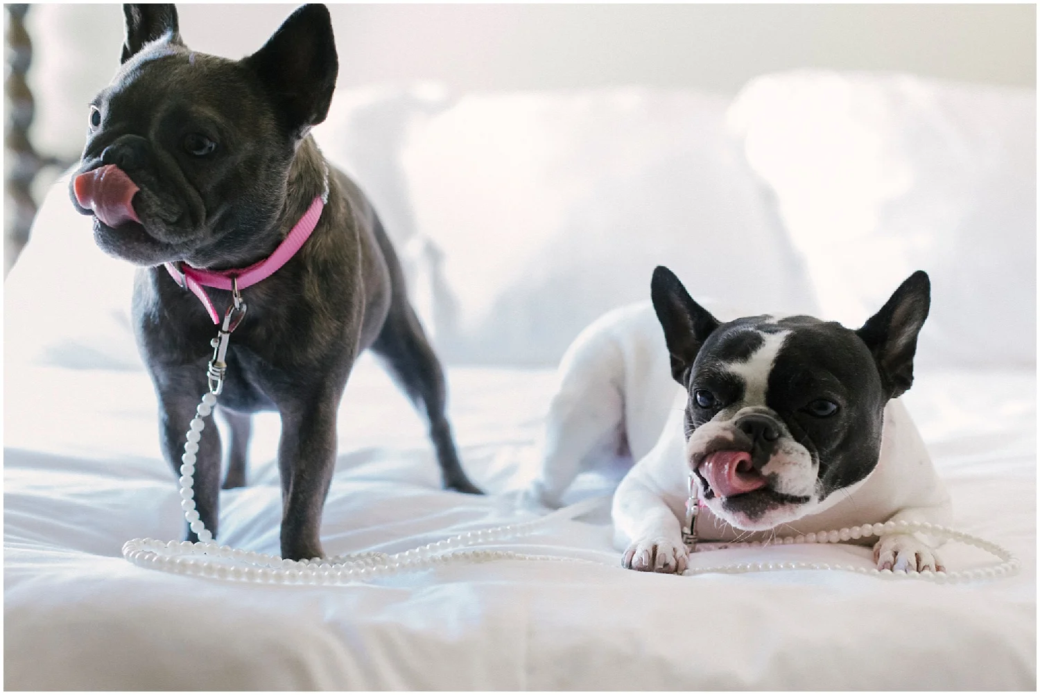 Aurelia D'Amore Photography_CT8.JPG