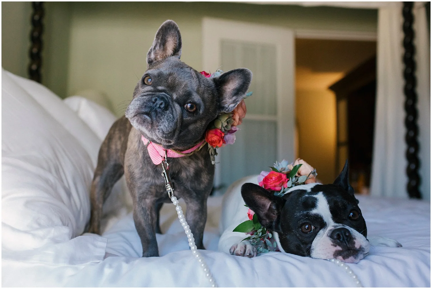 Aurelia D'Amore Photography_CT10.JPG