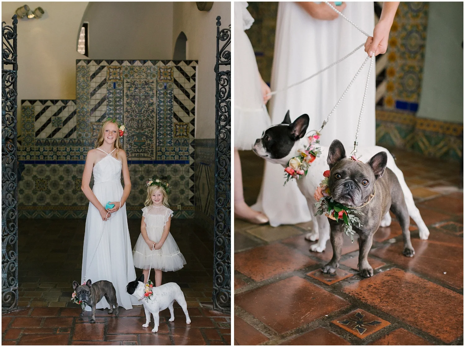 Aurelia D'Amore Photography_CT17.JPG