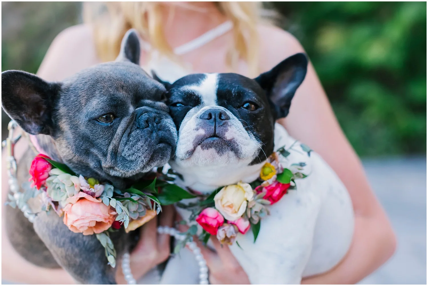 Aurelia D'Amore Photography_CT39.JPG