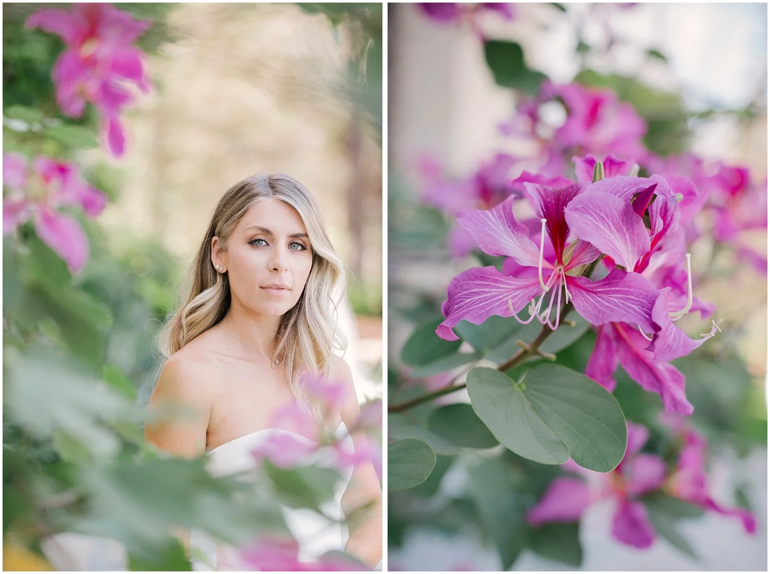 Aurelia D'Amore Photography_CT58.JPG