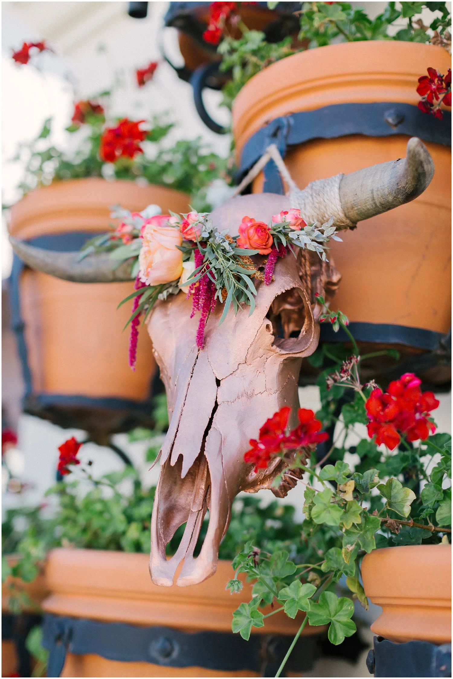 Aurelia D'Amore Photography_CT70.JPG