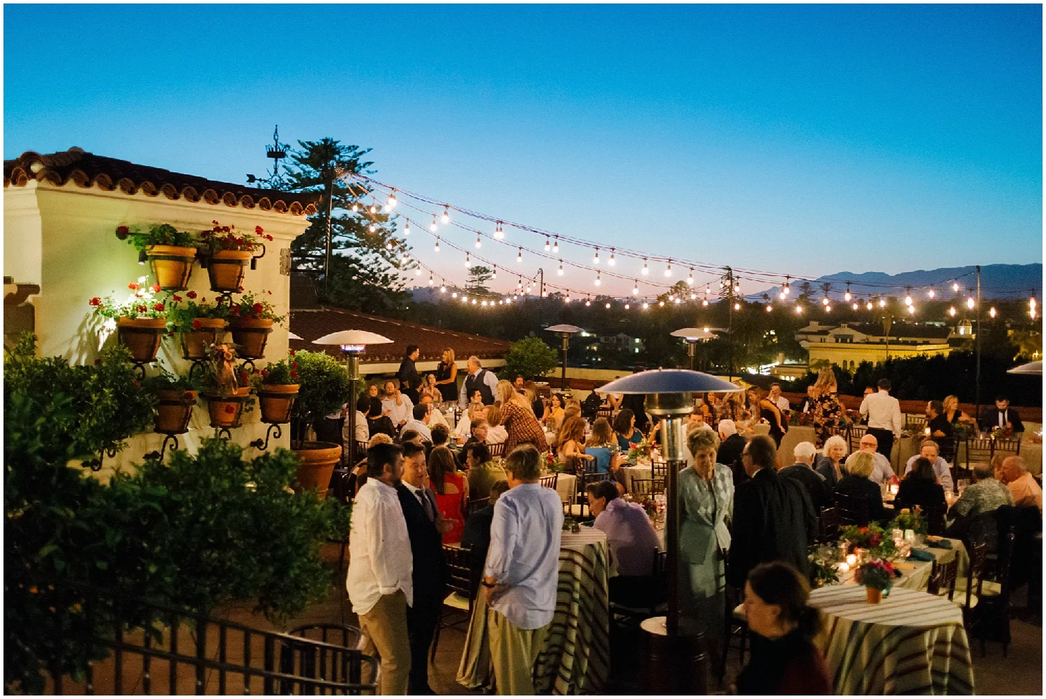 Aurelia D'Amore Photography_CT88.JPG