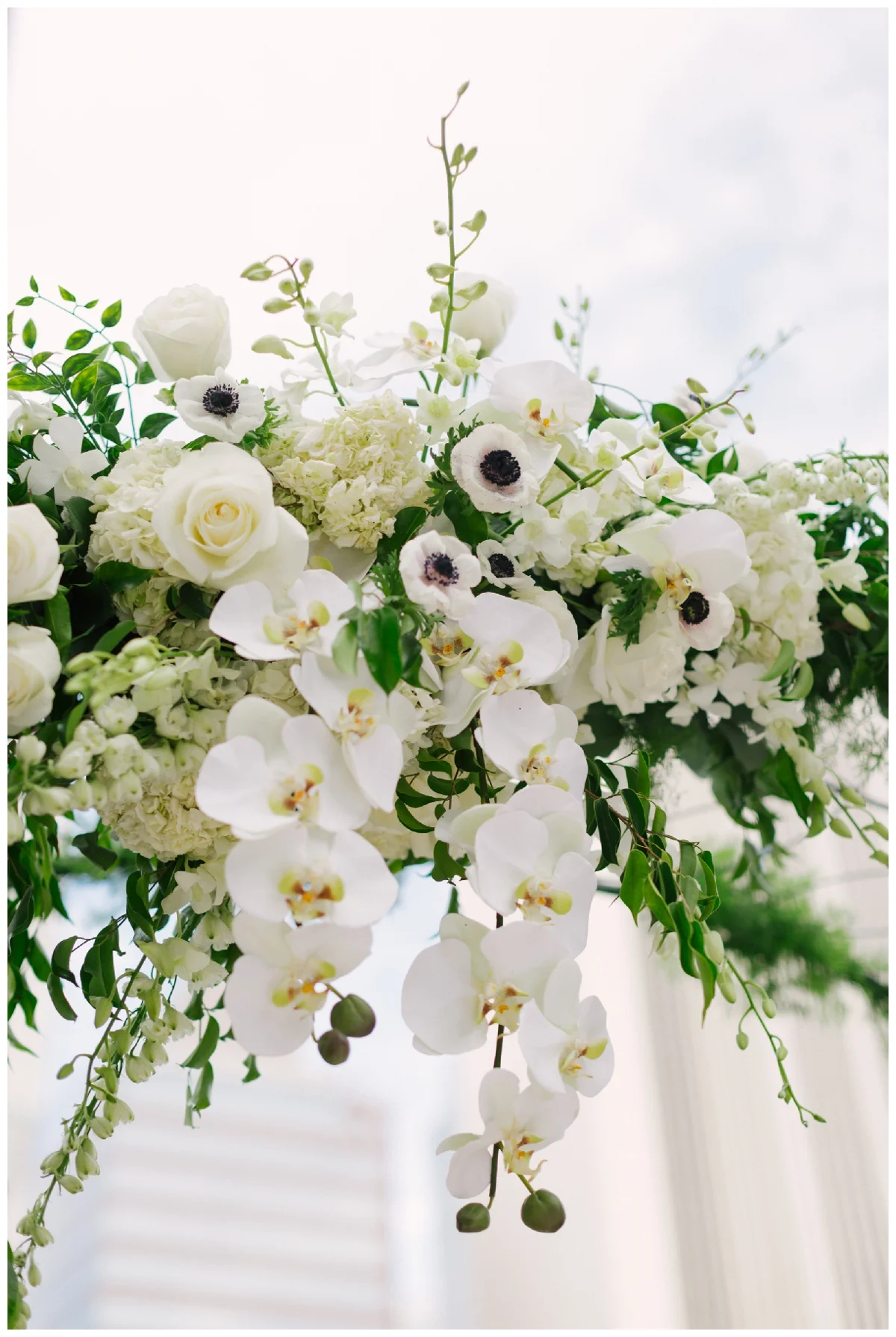 His and His Black and White Insppiration Photoshoot by Aurelia D