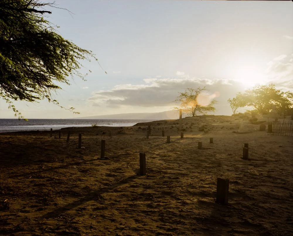 018_DAMOREMaui_67230-3_9Ew.jpg