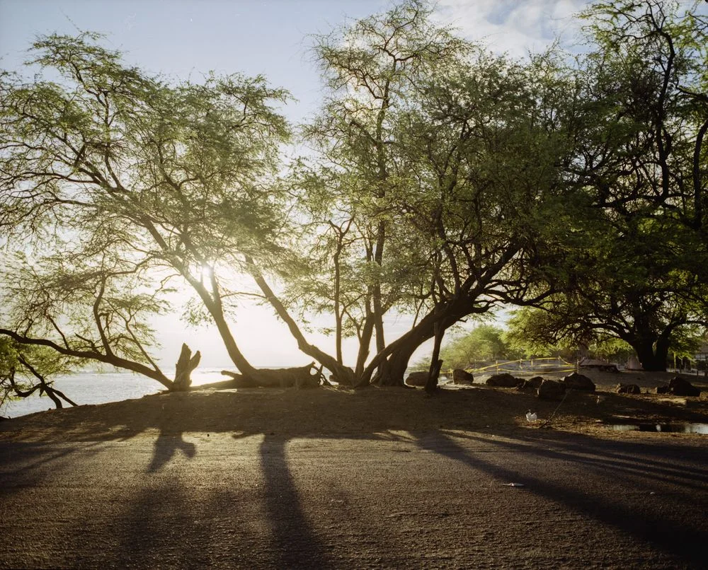 017_DAMOREMaui_67230-3_6Ew.jpg