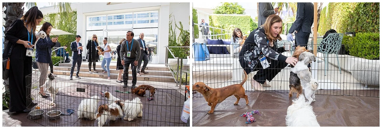 The Female Quotient at Milken Global- by Aurelia D'Amore Photography