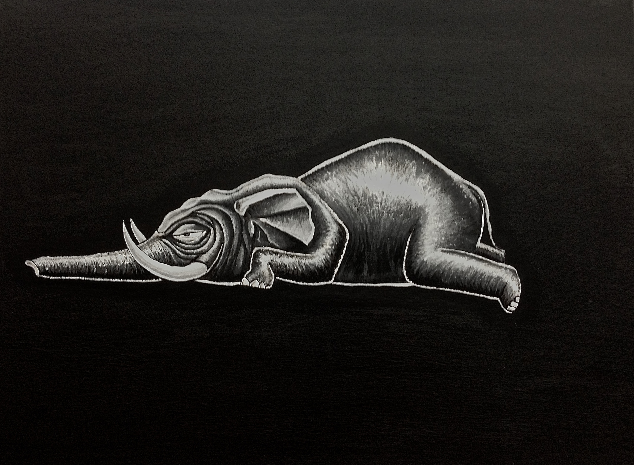 A Lazy Elephant