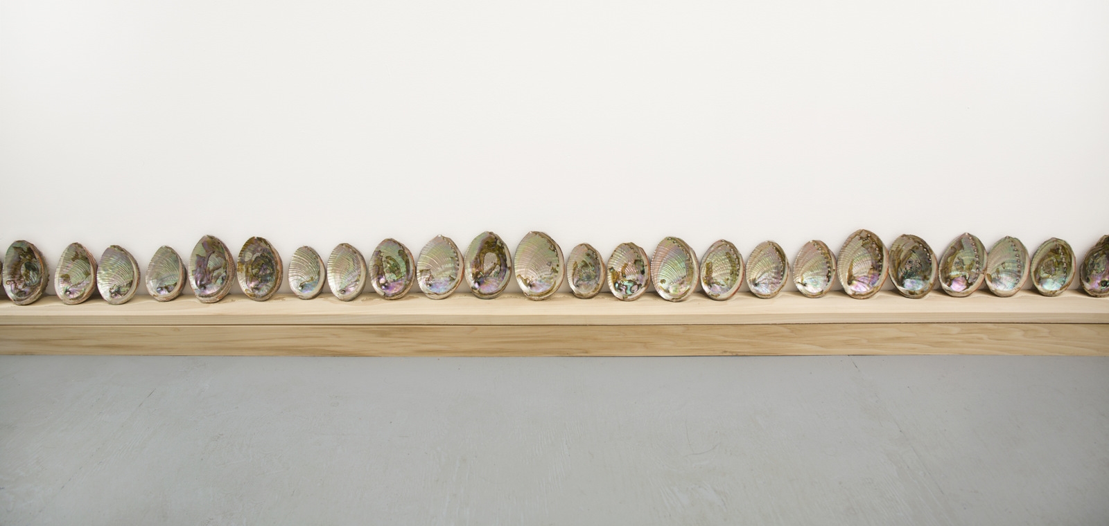 Push with the Tide, curated by Katerina Lanfranco