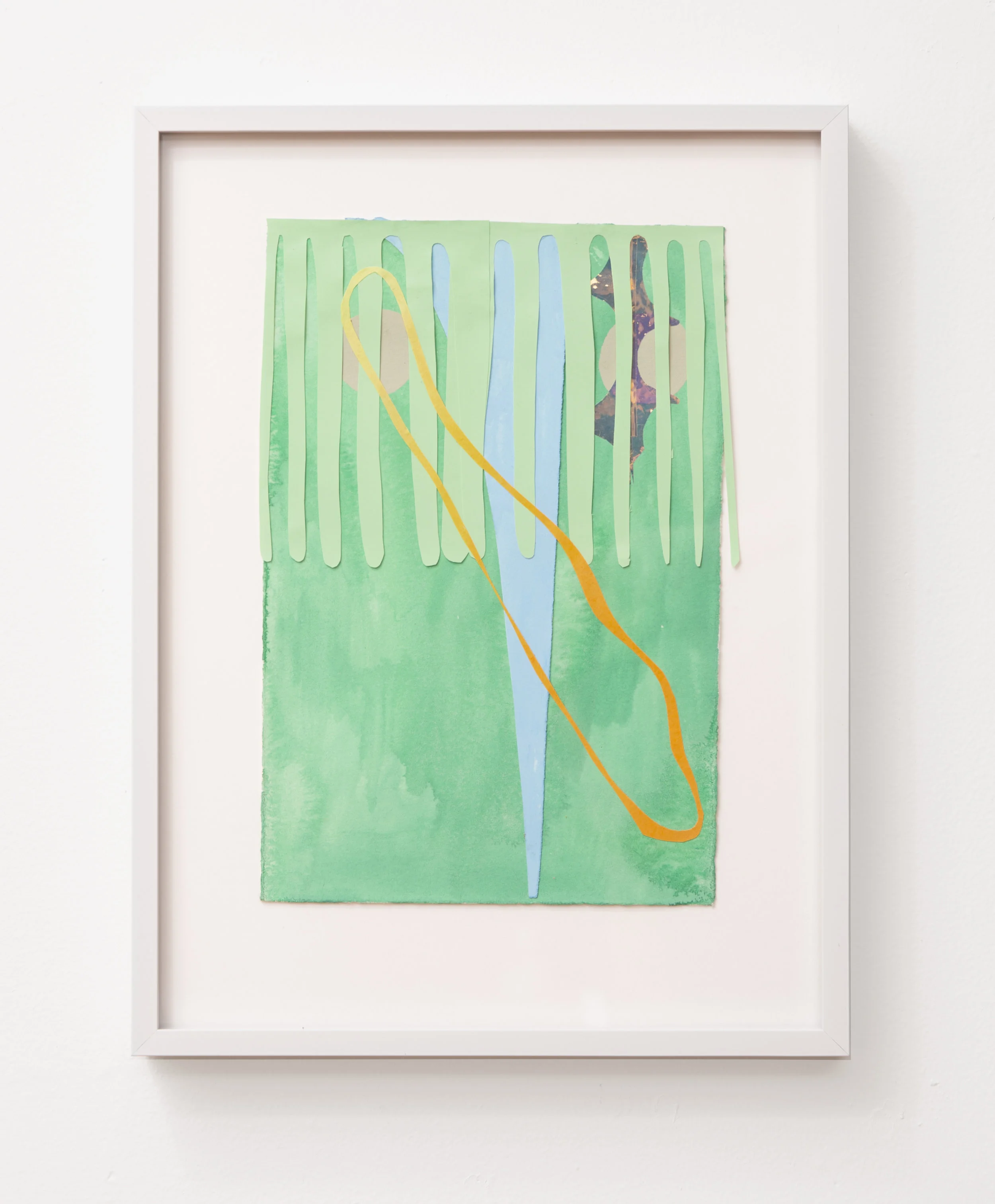 Rooted no.4