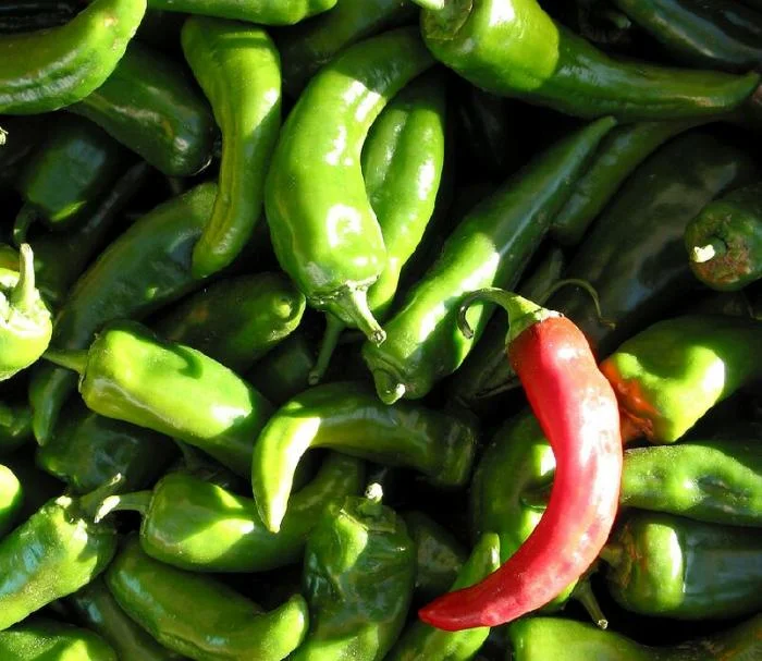 444_Peppers2.jpg