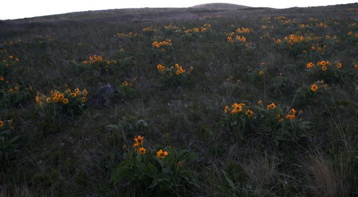 158_smoot_0815.jpg