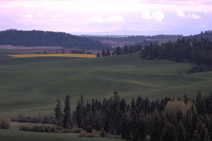 237_wallen_0876.jpg