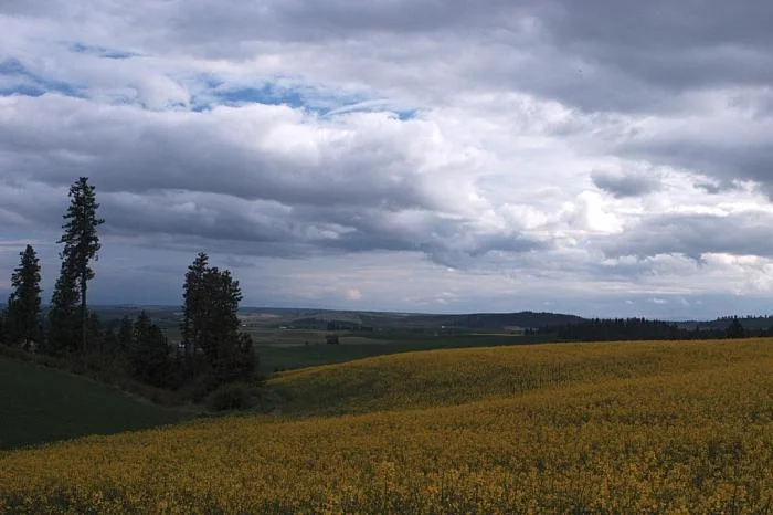 242_wallen_0882.jpg