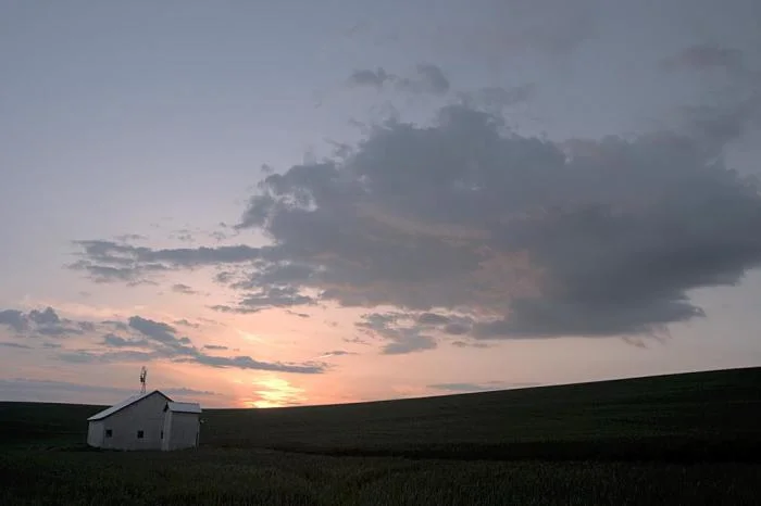 256_shed-in-field_0975.jpg