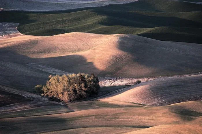 340_palouse_0672.jpg