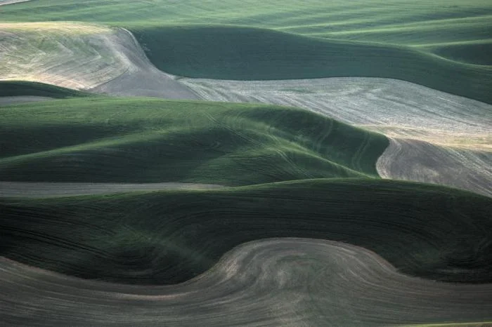346_palouse_0660.jpg