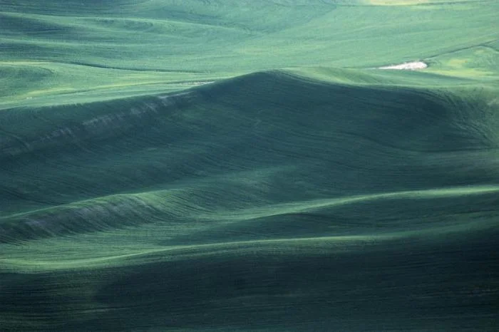 347_palouse_0659.jpg