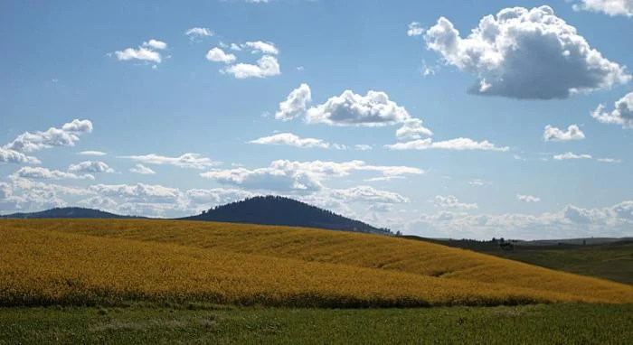 426_tomer-butte_1089.jpg