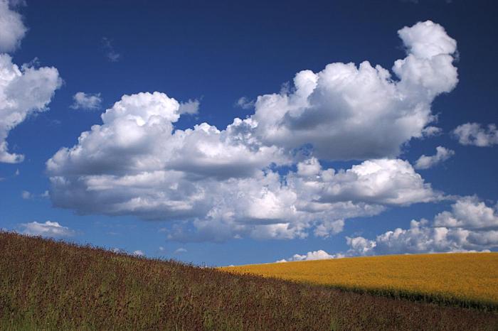 430_clouds-rapeseed_1119.jpg