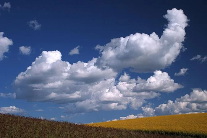 431_clouds-rapeseed_1116.jpg