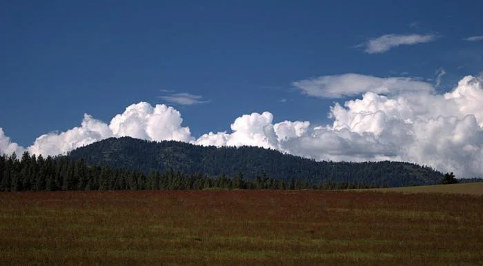 432_moscow-mountain_1114.jpg