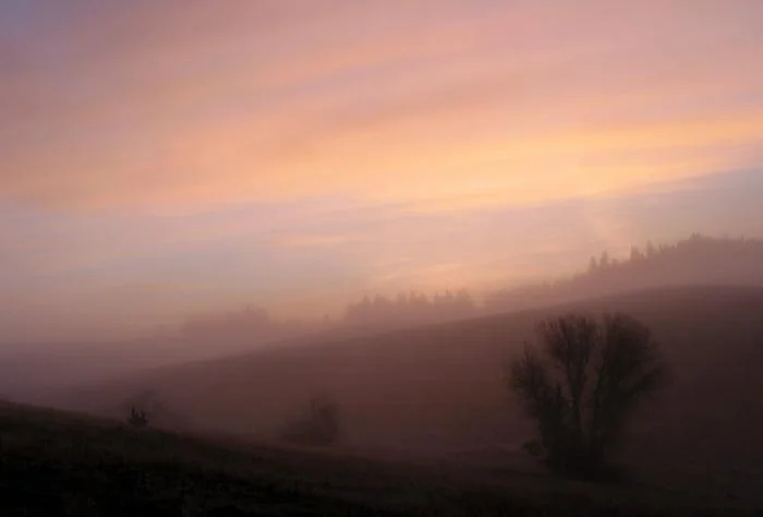 484_Foggy Draw.jpg
