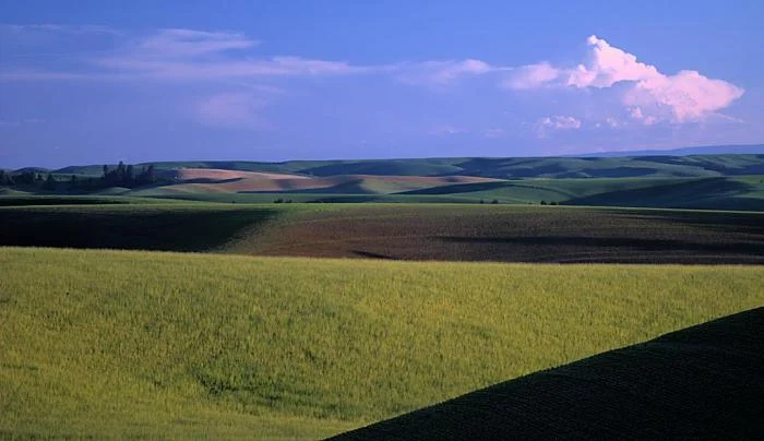 586_se-palouse-spring-1135.jpg