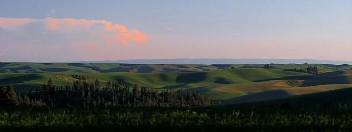 587_se-palouse-1127.jpg