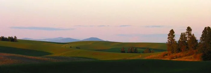 821_Palouse Evening.jpg