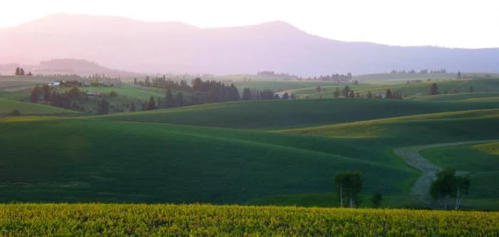 822_Palouse Evening 6.jpg
