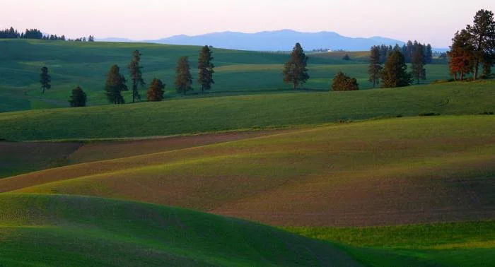 823_Palouse Evening 5.jpg