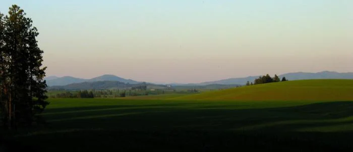 824_Palouse Evening 4.jpg
