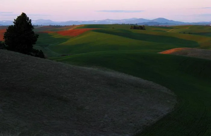 825_Palouse Evening 3.jpg