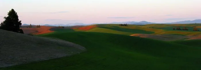 826_Palouse Evening 2.jpg