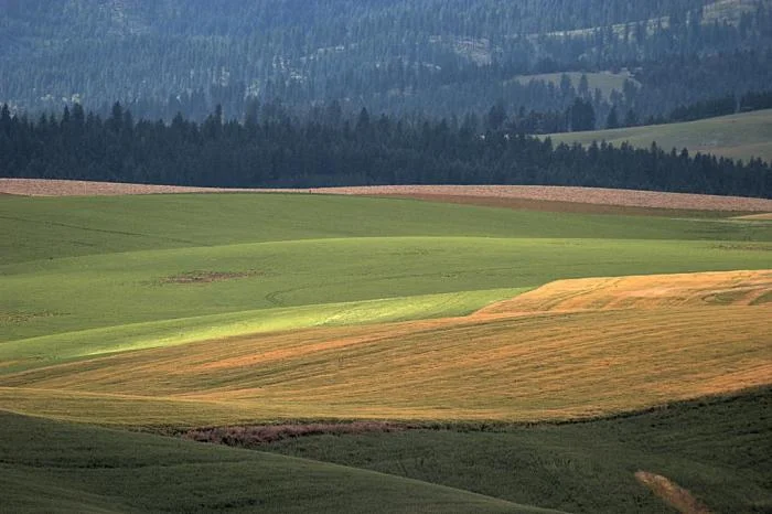 875_eastern-palouse-1377.jpg
