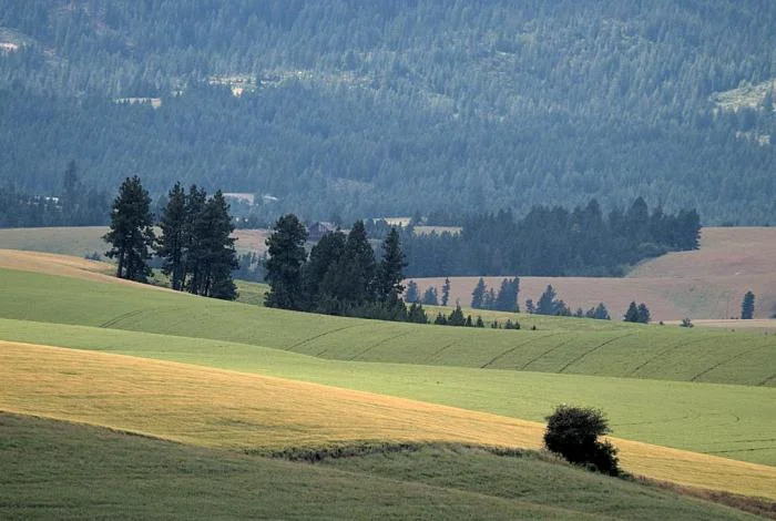 876_eastern-palouse-1379.jpg