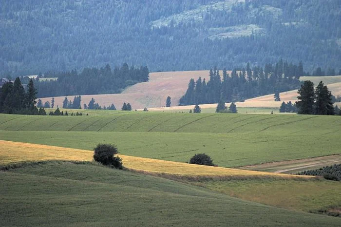 874_eastern-palouse-1375.jpg