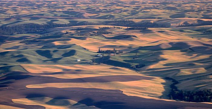882_palouse-2136.jpg
