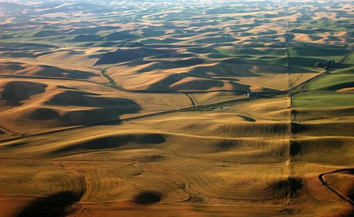 884_palouse-2162.jpg