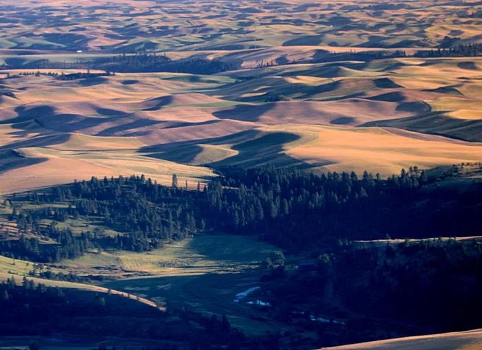 883_palouse-2142.jpg