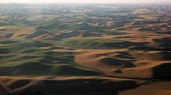 885_palouse-2164.jpg